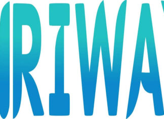 NRIWAY Expands Services: Empowering NRIs with Educational Support