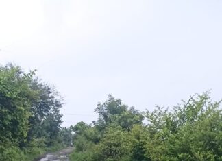 डोडमा ते डोंगरगाव रस्त्याची दुर्दशा ; रस्त्याची तत्काळ दुरुस्ती न झाल्यास आंदोलनाचा ईशारा.