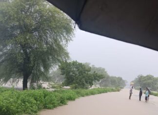 मुसळधार पावसाने शेतपिकांचे कंबरडे मोडले ; गावखेड्यांचा संपर्क तुटला