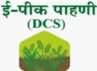 ई – पीक पाहणी ॲपचा शेतकऱ्यांच्या डोक्याला मनस्ताप ; पेरणीला दीड महिना उलटूनही ॲप सुरू झाले नाही