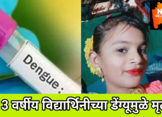 कुही तालुक्यातील वेलतूर येथील विद्यार्थिनीचा डेंगूने उपचारादरम्यान मृत्यू ; डेंगूने डोके काढले वर