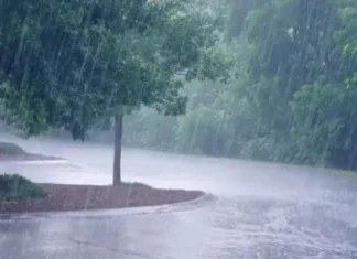 आज रात्री मुसळधार ते अतिमुसळधार…वाचा तुमच्या शहरात कशी असेल स्थिती?