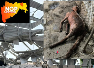 झुल्लर येथे श्रीजी ब्लॉक कंपनी मध्ये स्फ़ोट, एक ठार 6 गंभीर जखमी