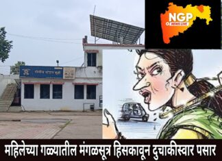 अनोळखी व्यक्तीच्या गाडीवर बसने पडले महागात ; महिलेचे मंगळसूत्र हिसकावून युवक पसार