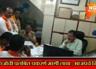 पीक कर्जाची प्रकरणे तात्काळ मार्गी लावा अन्यथा आंदोलन ; तालुका भाजपचे निवेदन