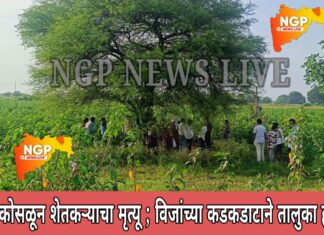 झाडात आसरा घेऊन उभा असलेल्या शेतकऱ्याचा वीज कोसळून मृत्यू ; विजांच्या कडकडाटाने तालुका हादरला