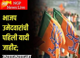 भाजपची पहिली यादी जाहीर, पहिल्या यादीत 99 नावं ; फडणवीस, बावनकुळेंसह अशोक चव्हाणांच्या मुलीला तिकीट