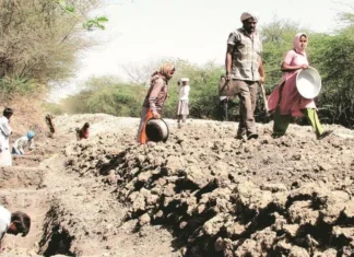 रोजगार हमी योजनेतील मजुरांच्या खात्यात तब्बल 2 हजार 856 कोटी रुपये निधी जमा!