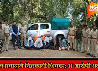 कुही तालुक्यातील बुट्टिटोला येथे विद्युत प्रवाहाने वन्यप्राणी चितळाची शिकार ; 11 आरोपी अटकेत