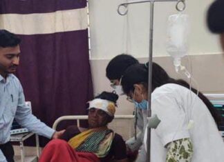 कापूस वेचणाऱ्या महिलेवर वाघाचा हल्ला ; महिला गंभीर जखमी