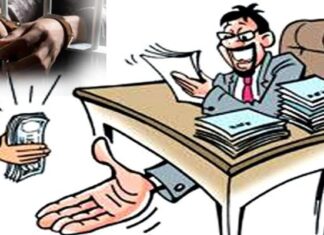 लाचखोर तलाठी एसीबीच्या जाळ्यात ; सातबारावर पिकाची नोंद करण्यासाठी मागितली लाच