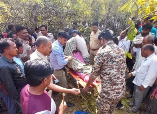 वाघाच्या हल्ल्यात शेतकरी ठार ; शेतात गेला असताना केला हल्ला