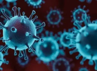 कोरोनानंतर आता आणखी एका महामारीने काढले डोके वर; चीनमध्ये ‘त्या’ व्हायरसने माजवला हाहाकार