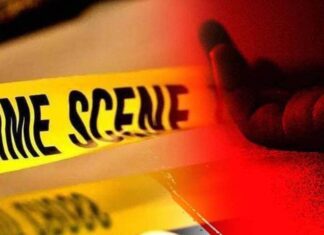 नागपूर : महिला डॉक्टरचा राहत्या घरी डोक्यावर वार करून खून