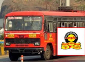 धक्कादायक! मद्यधुंद अवस्थेतील एसटी चालक निलंबित