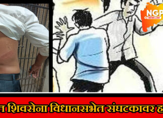 शिवसेना विधानसभा संघटकावर जीवघेणा हल्ला