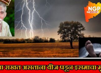 शेळ्या राखत असताना विजेच्या धक्क्याने इसमाचा मृत्यू ;तालुक्यात अवकाळी पावसाचा कहर