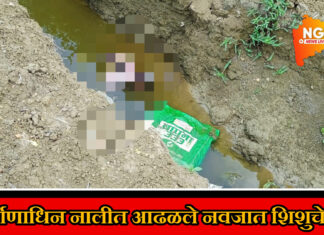 संतापजनक : मांढळ येथे नालीत आढळले नवजात शिशुचे शव ; आरोपींचा शोध सुरु