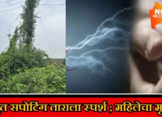 विद्युत खांबाच्या सपोर्टिंग ताराला स्पर्श ; शेतकरी महिलेचा शेतातच मृत्यू