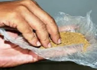 खर्र्यावरुन मित्रांमध्ये जुंपली ; वाद एवढा वाढला की, एका मित्राला गमवावा लागला जीव