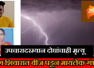 वीज पडून शेतकरी मायलेकाचा मृत्यू, वग शिवारात दुर्दैवी घटना