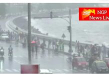 Maharashtra Rain Alert: ‘या’ जिल्ह्यात पावसाचा हायअलर्ट; महाराष्ट्रात पुढील ५ दिवस तुफान बरसणार