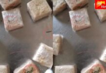 अंगणवाडी केंद्रात बालकांना दूषीत बुरशी, अळ्या असलेल्या सोनपापडीचे वाटप ; वेळीच लक्षात आल्याने पुढील अनर्थ टळला