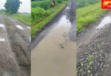 सोनपुरी रस्ता उध्वस्त ; डांबर उडालं, गिट्टी उखडली ! अवघा १ किमी मार्ग , पण खड्ड्यांच्या महासापळ्यात ग्रामस्थ त्रस्त