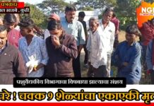 जीवनापूर पुनर्वसन भागात चराईदरम्यान विषबाधा झाल्याचा संशय ; ७ शेळ्या व ३ बकऱ्यांचा मृत्यू