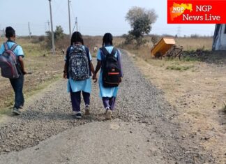 डोंगरगाव – खेतापूर रस्त्याची दुरावस्था : चिमुकल्यांचा शालेय प्रवास बनला ‘अडथळ्यांची शर्यत’ ; रस्ता दुरुस्तीची ग्रामस्थांची मागणी