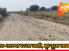 चाडा–तारणा रस्ता मृत्यूचा सापळा; प्रशासन व लोकप्रतिनिधींच्या दुर्लक्षामुळे नागरिकांचे हाल