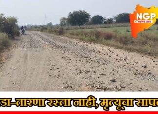 चाडा–तारणा रस्ता मृत्यूचा सापळा; प्रशासन व लोकप्रतिनिधींच्या दुर्लक्षामुळे नागरिकांचे हाल