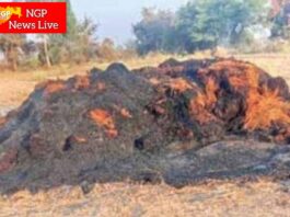 ससेगावात आगीत चना पिकाची गंजी भस्मसात : शेतकऱ्याचे दीड लाखांचे नुकसान ; पंचनाम्याची मागणी